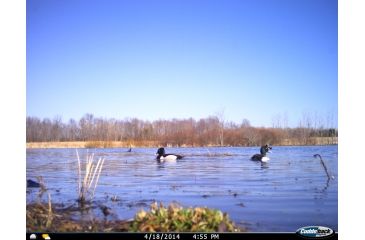 Image of Cuddeback C2 Long Range Video Camera 20 MP Brown