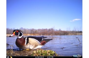Image of Cuddeback C2 Long Range Video Camera 20 MP Brown