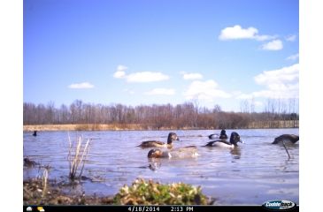 Image of Cuddeback C2 Long Range Video Camera 20 MP Brown