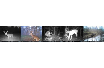 Image of Cuddeback Cuddelink Black Flash, J1538