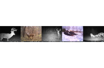 Image of Cuddeback Cuddelink Black Flash, J1538