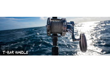 Image of Daiwa Saltiga Star Drag Fishing Reel