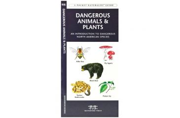 Image of Ntl Book Network Edible &amp; Medicinal Mushrooms 9781493008032