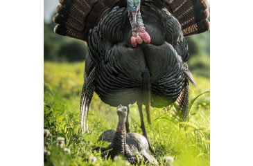 Image of Dave Smith Decoys Mating Hen Decoy