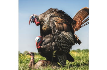 Image of Dave Smith Decoys Mating Motion Pair Decoy