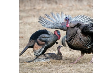 Image of Dave Smith Decoys Mating Motion Pair Decoy