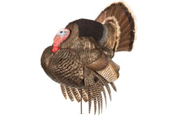 Image of Dave Smith Decoys Strutter, Black 87099