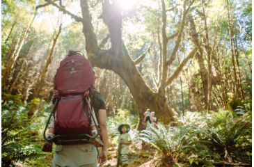 Image of Deuter Kid Comfort Child Carrier, Maroon, 362021950260