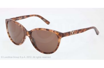 Image of Dolce&amp;Gabbana ICONIC LOGO DG4171P Sunglasses 255073-56 - Brown Marble Frame, Brown Lenses