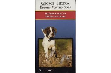 Image of DT Systems Pointing Dog DVD, Volume 1- Introduction 167427