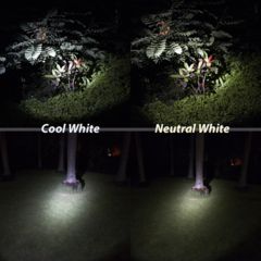 Image of Eagtac D25C RC Clicky Flashlight, XP-G2 R5 NW LED, 352lm,1xCR123A,1x16340, Black 1733