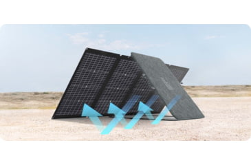 Image of EcoFlow DELTA 2 w/ 1 Portable Solar Panel, 220W, Black, DELTA2-220W