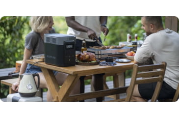 Image of EcoFlow DELTA 2 w/ 1 Portable Solar Panel, 220W, Black, DELTA2-220W