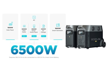 Image of EcoFlow DELTA Pro Portable Power Station, Black, 50034001