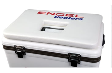 Image of Engel Cushion
