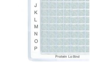 Image of Eppendorf Plate 96w 1000 Prot Lob Pk80 925000094, Unit PK