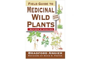 Image of Ntl Book Network Edible &amp; Medicinal Mushrooms 9781493008032