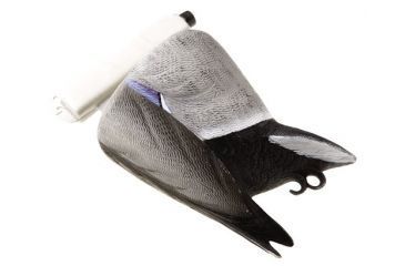 Image of Final Approach Feeding Mallard Drake 474275