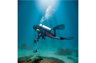 Image of Fisher CZ-21 Fisher Quicksilver w/8in Search Coil, Black, Standard, CZ21-8