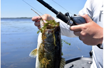 Image of Fitzgerald Fishing VLD10 Reels, 6.5 Gear, Left Hand, Silver, VLD10-651-L