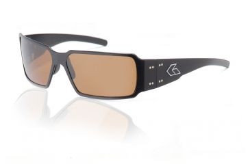 Image of Gatorz Boxster Sunglasses, Black Frame, Brown Lens BOXBLK03