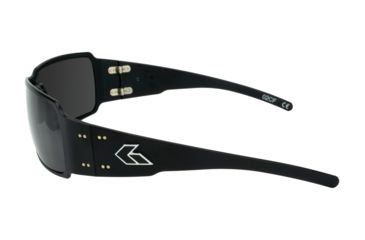 Image of Gatorz Boxster Sunglasses, Brushed Frame, Smoked Polarized Lens, BOXBRU01P