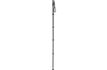 Image of Gitzo Carbon Monopod Ser.4 5S LG M4552L