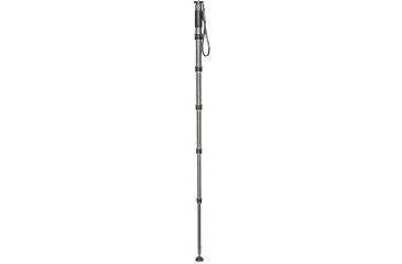 Image of Gitzo Carbon Monopod Ser.4 6S GM4562