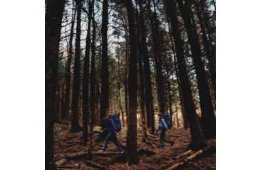 Image of Gregory Pro Deva 80 Backpack