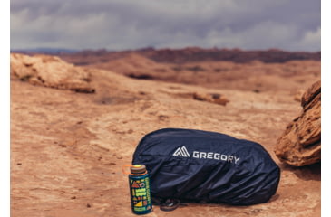 Image of Gregory Raincover 30L Backpack