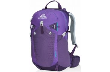 Image of Gregory Juno 20 Pack-Acai Purple