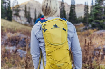 Image of Gregory Pace 6L H2O Pack - Womens, Mineral Yellow, One Size, 143374-1561