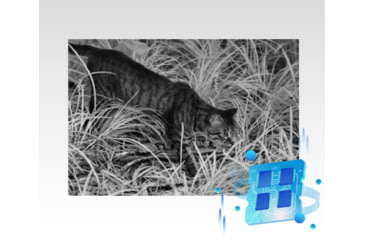 Image of Guide USA DN Series DN30 1.9-15.2x30mm Night Vision Binocular, 3840x2160, Black, DN30