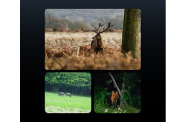 Image of Guide USA DN Series DN30 1.9-15.2x30mm Night Vision Binocular, 3840x2160, Black, DN30