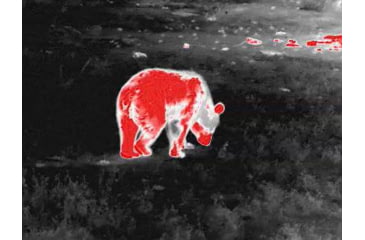 Image of Guide USA TD Gen2 Series TD411 1.4-5.6x19mm Thermal Monocular, 384x288, Black, TD411