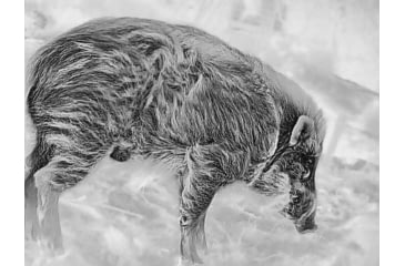 Image of Guide USA TD Gen2 Series TD411 1.4-5.6x19mm Thermal Monocular, 384x288, Black, TD411