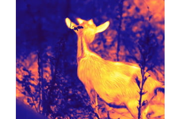 Image of Guide USA TD Gen2 Series TD411 1.4-5.6x19mm Thermal Monocular, 384x288, Black, TD411