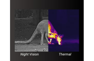 Image of Guide Sensmart TL Series TL650 2-16x50mm Fusion Monocular and Range Finder. 640x480, Black, TL650