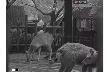 Image of Guide Sensmart TL Series TL650 2-16x50mm Fusion Monocular and Range Finder. 640x480, Black, TL650