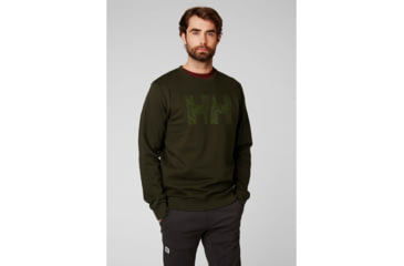 Image of Helly Hansen F2F Cotton Sweater - Mens, Forest Night, Small, 62933-469-S
