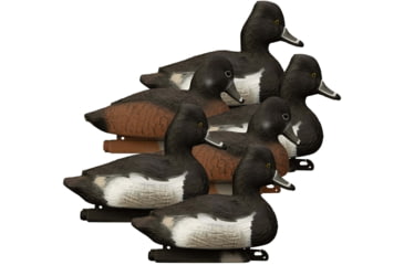 Image of Higdon Outdoors 19483 Standard Ringneck Species Multi Color Foam Filled 6 Pack