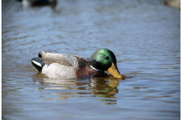 Image of Higdon Outdoors 52053 XS Battleship Swimmer Mallard Drake Green/Brown Rechargeable