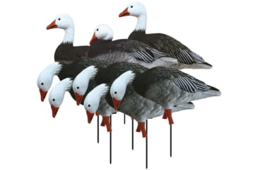 Image of Higdon Outdoors APEX Full-Size Full-Body Variety Pack Decoy, 8 Pack, Blue, 72438