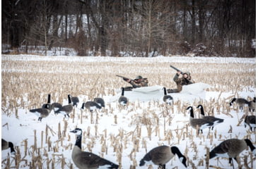 Image of Higdon Outdoors APEX Full-Size Full-Body Variety Pack Decoy, Canada, 6 Pack, 72237