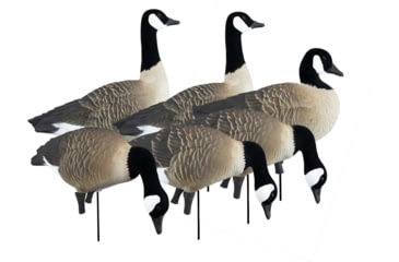 Image of Higdon Outdoors APEX Full-Size Full-Body Variety Pack Decoy, Canada, 6 Pack, 72237