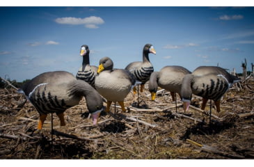 Image of Higdon Outdoors APEX Full-Size Full-Body Variety Pack, Specklebelly, 72536