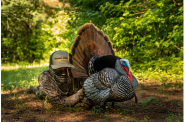 Image of Higdon Outdoors APEX Strutter Hard Body Turkey, Lifesize, 63148