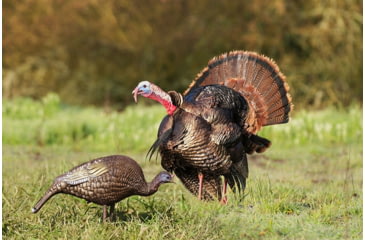 Image of Higdon Outdoors Hard Body Feeder Hen Turkey Decoy, 63122