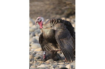 Image of Higdon Outdoors Hard Body Laydown Hen Turkey Decoy, 63133