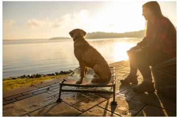 Image of Higdon Outdoors MOmarsh Home Cot Breeze Elevated Pet Bed A31F740A